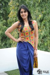 Regina Cassandra at Pilla Nuvvu Leni Jeevitham Press Meet